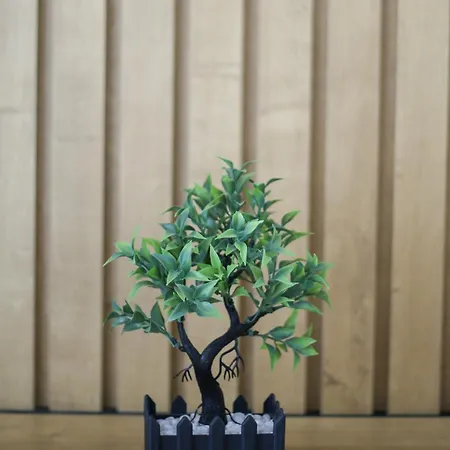 Apartament Aysel 1 Lungomare *