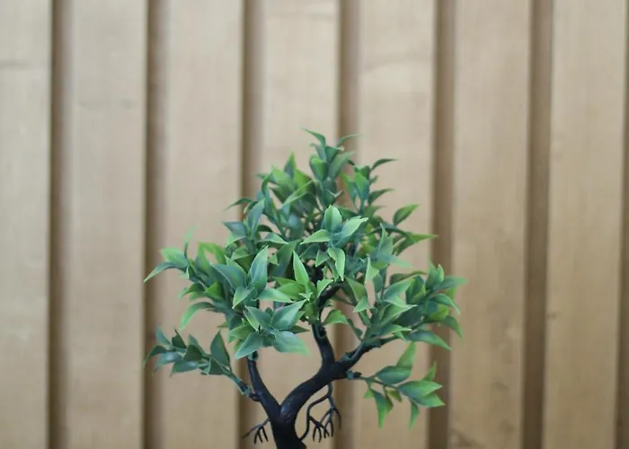 Appartamento Aysel 1 Lungomare *